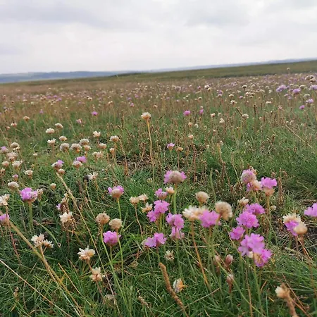 4 Person In Lemvig-by Traum